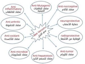 أبحاث العلاج بسم النحل