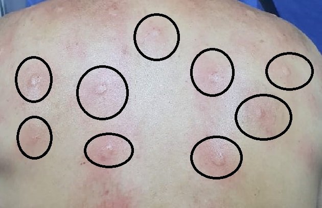 مركز الطب التكاملي